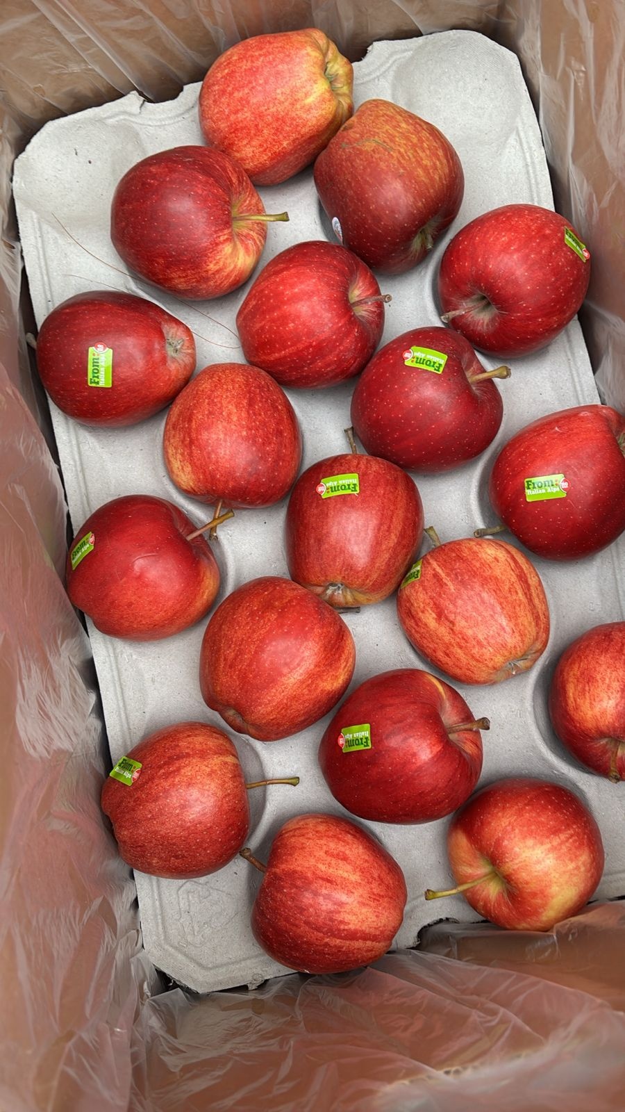Apple Washington